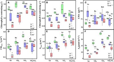 Nitrate nitrogen enhances the efficiency of photoprotection in Leymus chinensis under drought stress
